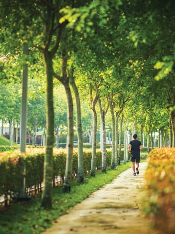 Our Resilience Strategy