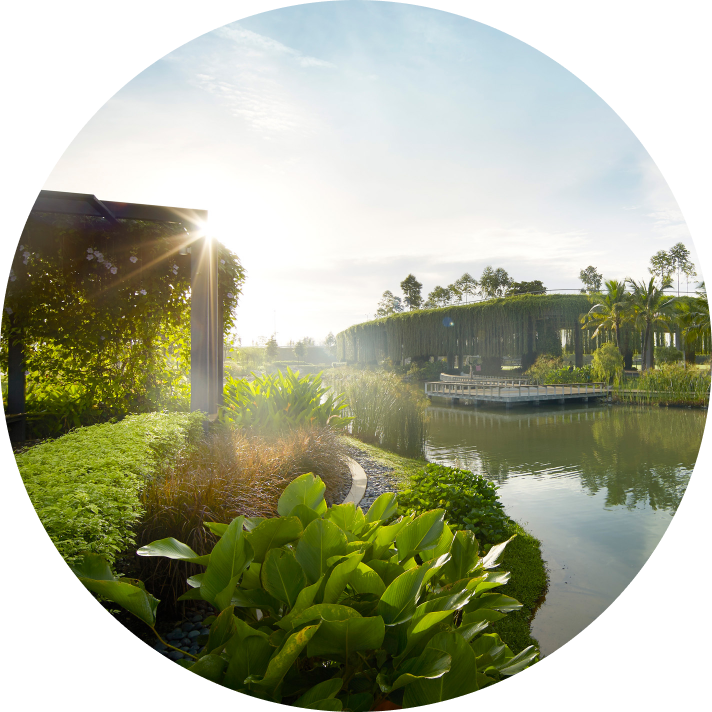 Sustainability at IJM